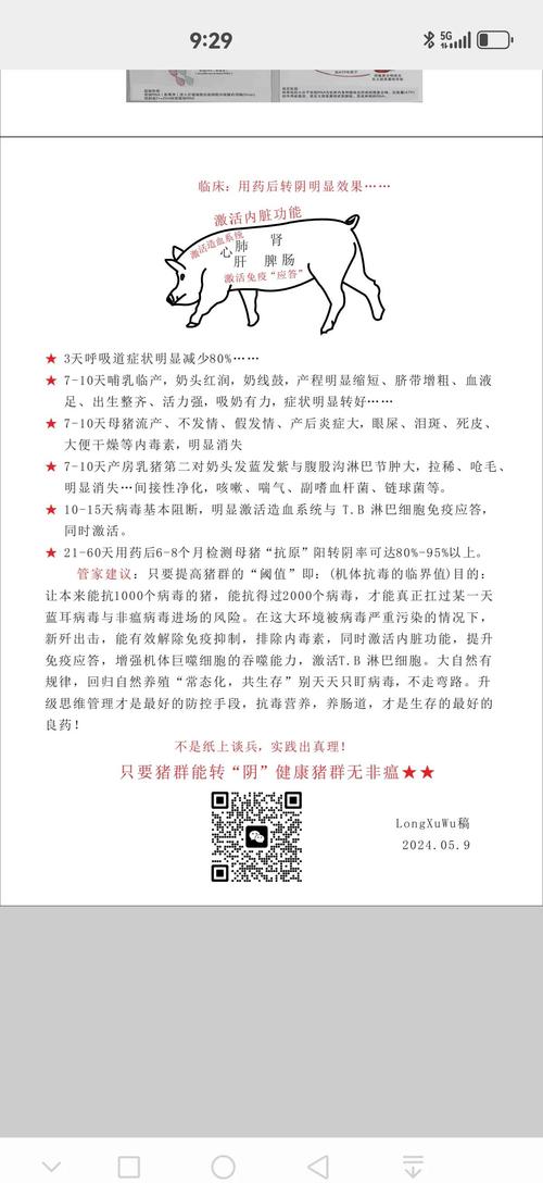 近来中国非洲猪瘟疫情-中国非洲猪瘟疫情来源于哪里?为何仍不断增长?官方回应？-第3张图片-德宏生活网