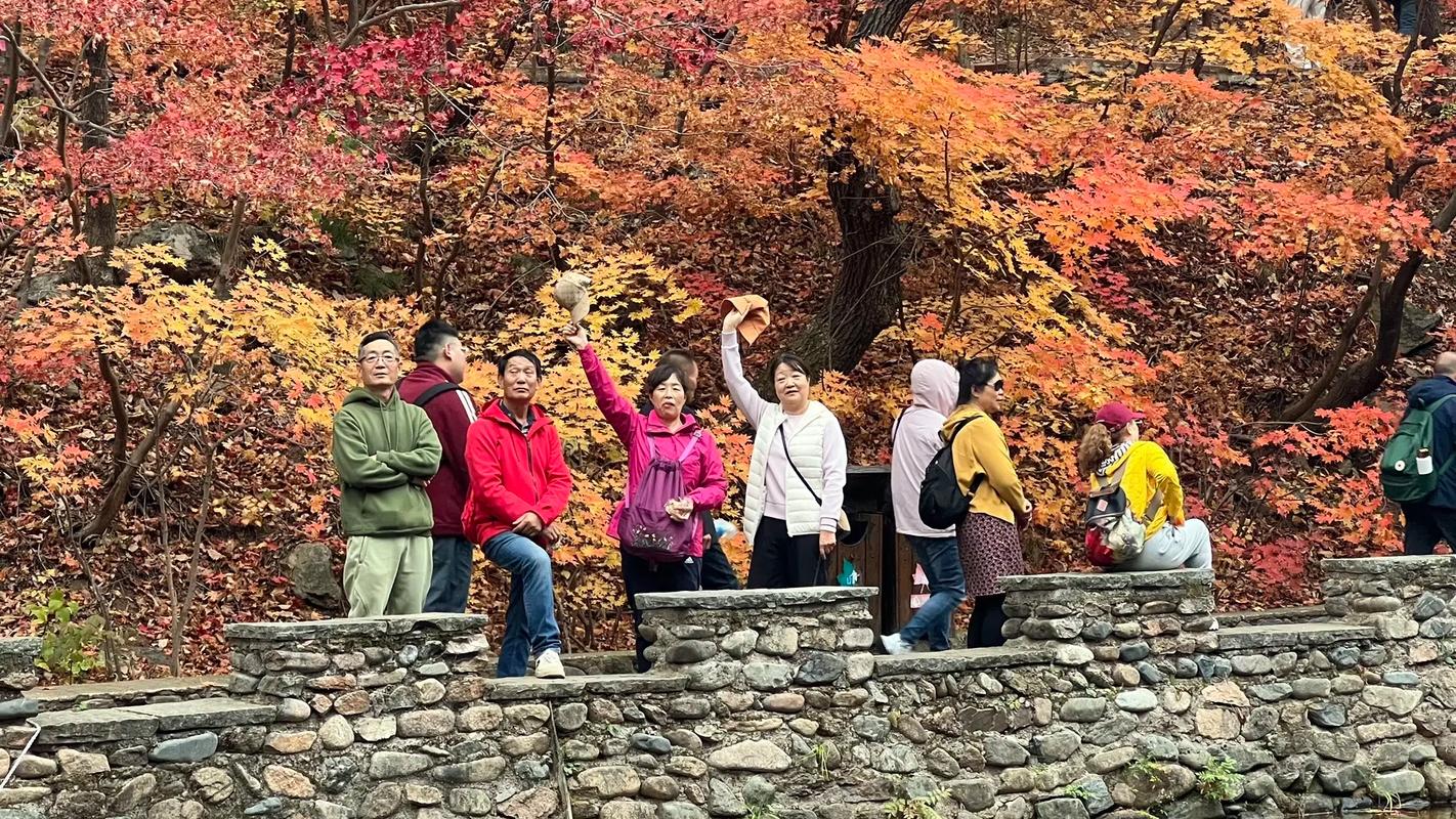 长春市宽城区天气预报,长春市宽城区天气预报下载-第2张图片-德宏生活网 长春市宽城区天气预报,长春市宽城区天气预报下载-第2张图片-德宏生活网