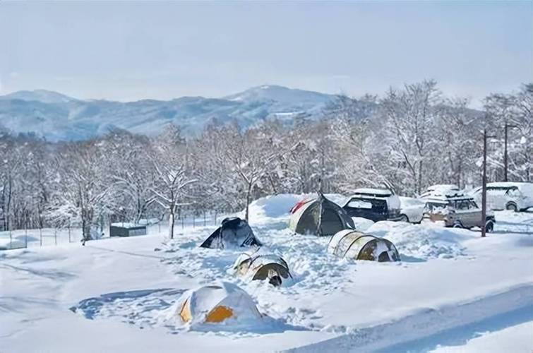 长春市宽城区天气预报,长春市宽城区天气预报下载-第5张图片-德宏生活网 长春市宽城区天气预报,长春市宽城区天气预报下载-第5张图片-德宏生活网