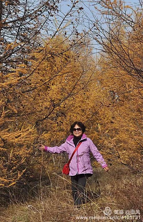 木兰围场天气预报，御道口木兰围场天气预报-第5张图片-德宏生活网