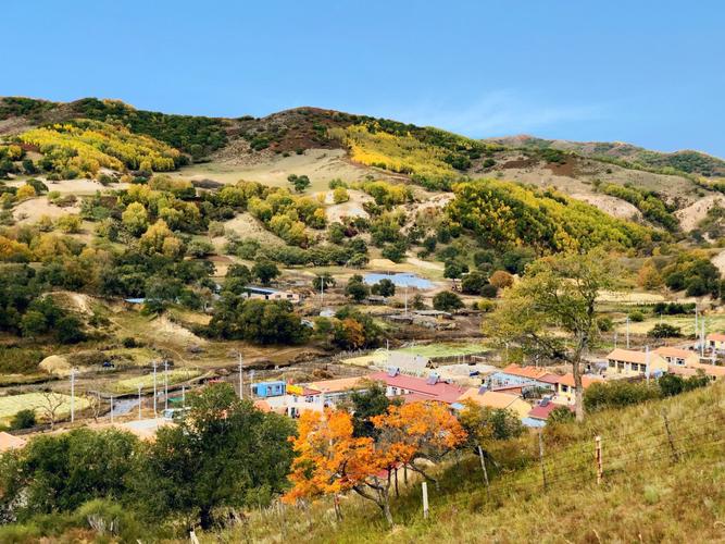 青白江区天气预报，青白江区天气预报最新-第5张图片-德宏生活网