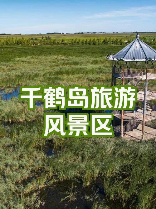 肇东15天天气预报_肇东十五天天气预报-第3张图片-德宏生活网