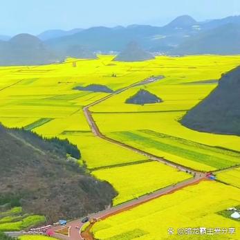 昆明寻甸天气预报_昆明寻甸天气预报15天-第4张图片-德宏生活网