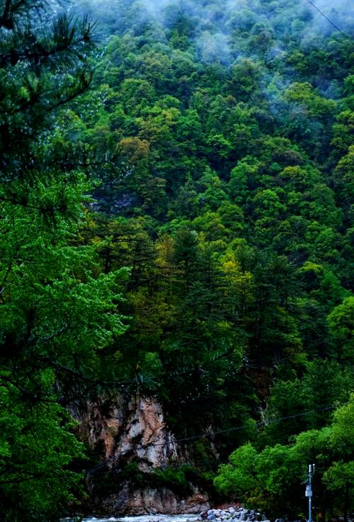 周至天气预报一周-周至天气预报2345？-第2张图片-德宏生活网