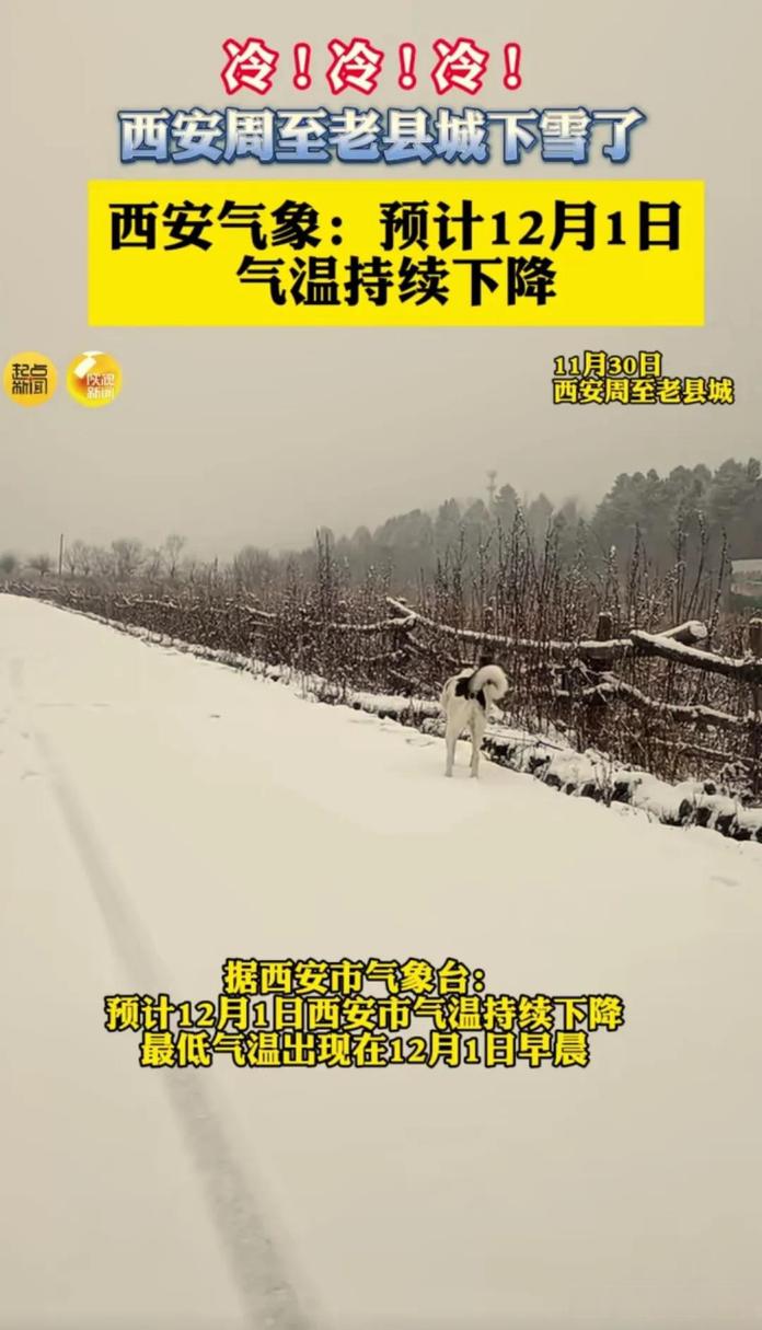 周至天气预报一周-周至天气预报2345？-第4张图片-德宏生活网