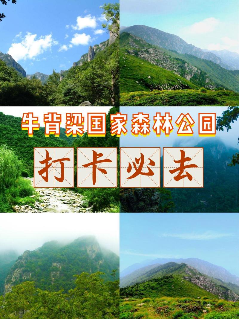 牛背梁天气预报_牛背梁天气预报最新-第1张图片-德宏生活网