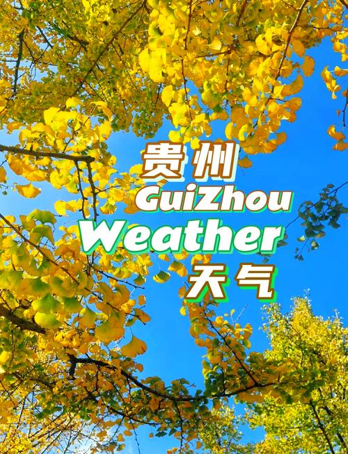 州天气预报，州天气预报一周天气-第3张图片-德宏生活网