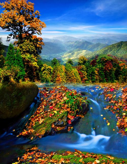 姜堰区疫情泰州市疫情-姜堰区最新疫情？-第4张图片-德宏生活网