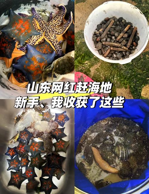 海门市天气预报-海门市天气预报24小时查询表格下载？-第1张图片-德宏生活网