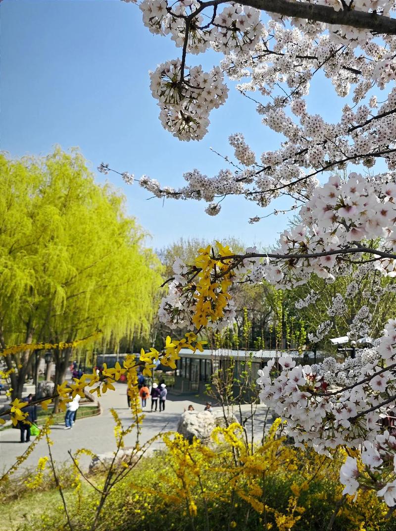 武江天气预报_武江天气预报一周-第2张图片-德宏生活网