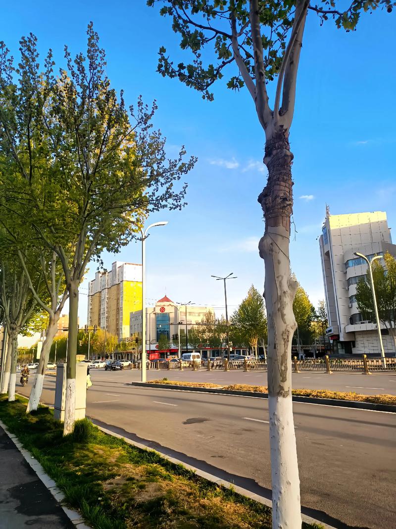 尉氏县十五天天气预报，尉氏十五天天气预报30天-第1张图片-德宏生活网