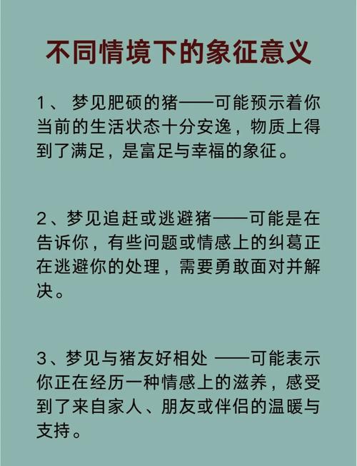 新疫情几万头猪被活埋_新疫情几万头猪被活埋了-第6张图片-德宏生活网 新疫情几万头猪被活埋_新疫情几万头猪被活埋了-第6张图片-德宏生活网