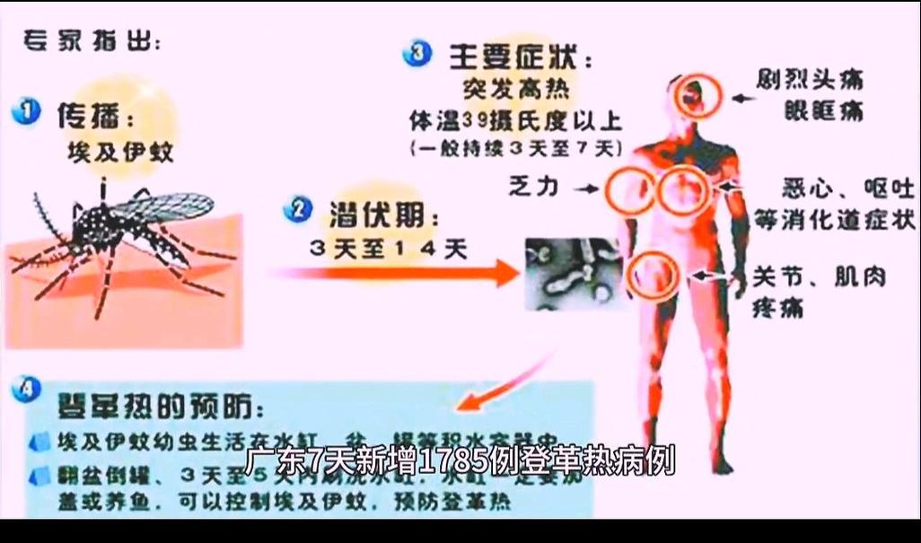 广东疫情和广州疫情-广东疫情和广州疫情哪个严重？-第1张图片-德宏生活网