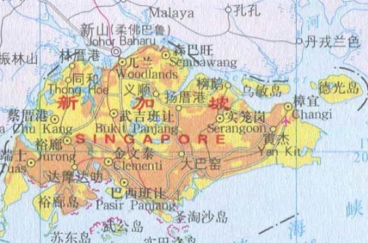 新加坡放弃对抗疫情_新加坡为什么放弃抵抗疫情-第5张图片-德宏生活网