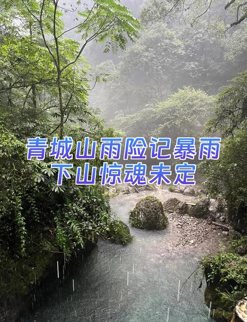 青城后山天气预报，青城后山天气预报实时天气-第1张图片-德宏生活网