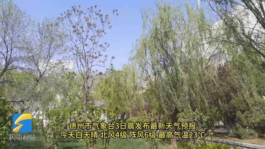 武城县天气预报_今日武城县天气预报-第2张图片-德宏生活网 武城县天气预报_今日武城县天气预报-第2张图片-德宏生活网