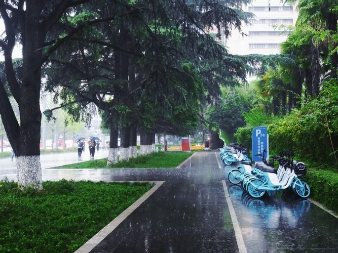 昆明市五华区天气预报_昆明市8月份天气预报-第3张图片-德宏生活网 昆明市五华区天气预报_昆明市8月份天气预报-第3张图片-德宏生活网