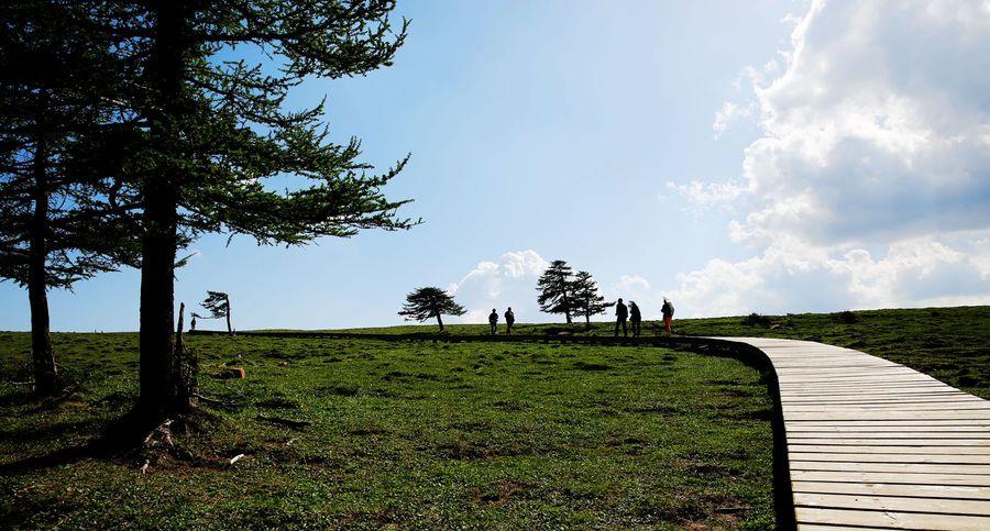 马仑草原天气预报_马仑草原天气预报24小时-第4张图片-德宏生活网