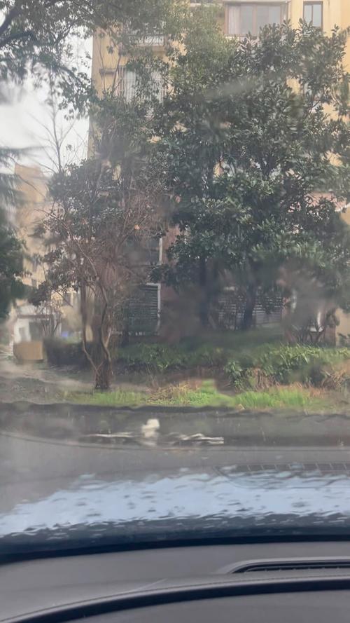 天气预报浦东，天气预报浦东三林-第1张图片-德宏生活网