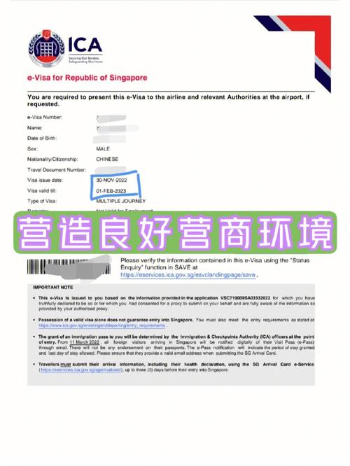 新加坡疫情每天更新-新加坡疫情每天更新数据？-第5张图片-德宏生活网