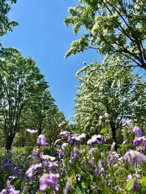 北京市房山区天气预报-北京市房山区天气预报闫村镇肖庄村？-第6张图片-德宏生活网