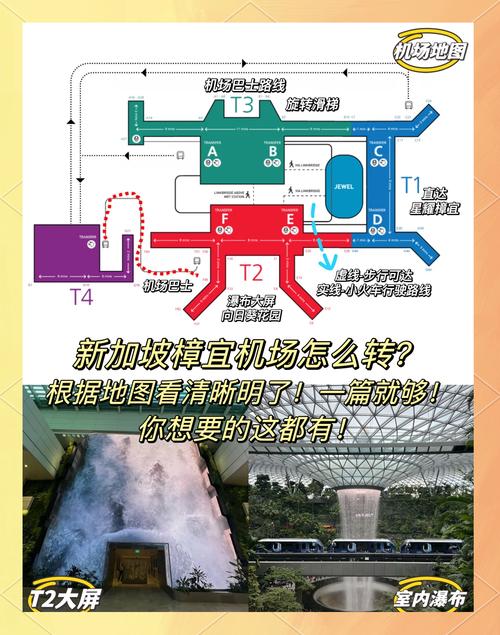新加坡转机政策疫情，新加坡转机政策疫情最新消息-第6张图片-德宏生活网