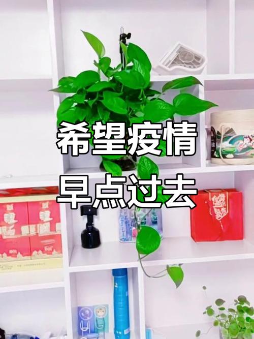 疫情什么时候能结束疫情，疫情什么时候可以结束-第2张图片-德宏生活网