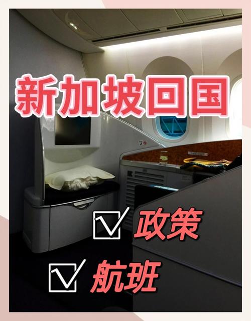 新加坡怎么控制疫情_新加坡怎么控制新冠病毒-第2张图片-德宏生活网 新加坡怎么控制疫情_新加坡怎么控制新冠病毒-第2张图片-德宏生活网