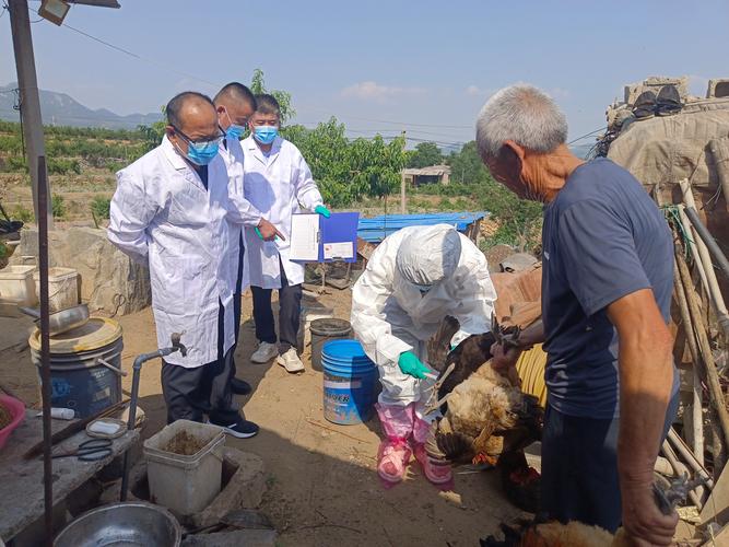 动物疫情疫情监测工作，动物疫情核查制度-第1张图片-德宏生活网