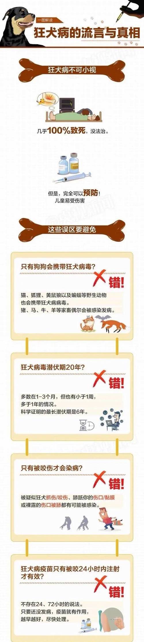 哈尔滨狂犬病疫情报告,哈尔滨狂犬病防疫中心-第3张图片-德宏生活网 哈尔滨狂犬病疫情报告,哈尔滨狂犬病防疫中心-第3张图片-德宏生活网