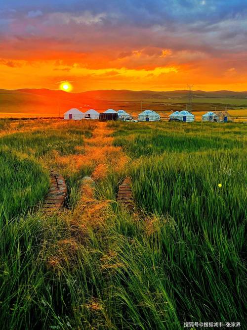 内蒙今日疫情最新疫情-内蒙古今日新冠肺炎最新消息？-第3张图片-德宏生活网