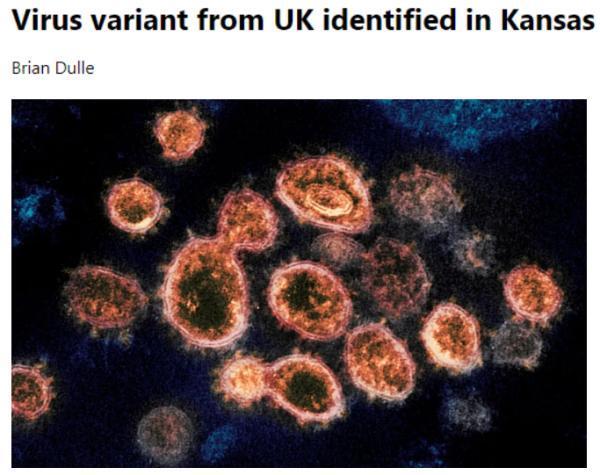 英国利物浦近来疫情,英国利物浦近来疫情情况-第5张图片-德宏生活网 英国利物浦近来疫情,英国利物浦近来疫情情况-第5张图片-德宏生活网