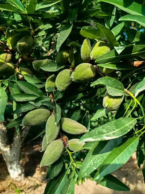 关于乌鲁木齐疫情反弹-乌鲁木齐受疫情影响?-第3张图片-德宏生活网 关于乌鲁木齐疫情反弹-乌鲁木齐受疫情影响?-第3张图片-德宏生活网