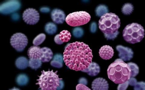 巴西疫情厄瓜多尔疫情，巴西对厄瓜多尔延期-第3张图片-德宏生活网