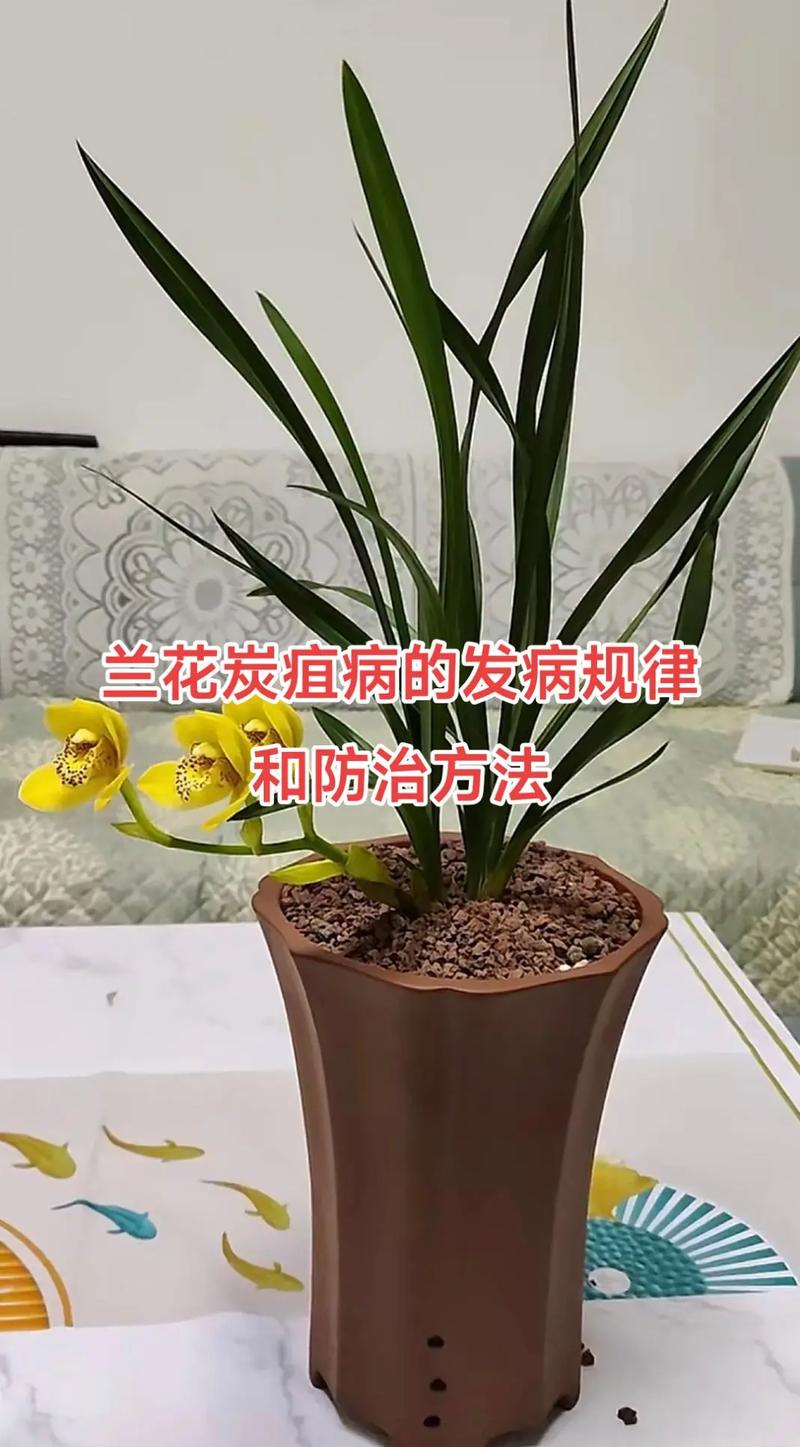 山东滨州疫情27日疫情_山东滨州新冠肺炎疫情-第1张图片-德宏生活网