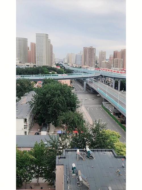 河北石家庄最近疫情_河北石家庄最新数据-第1张图片-德宏生活网