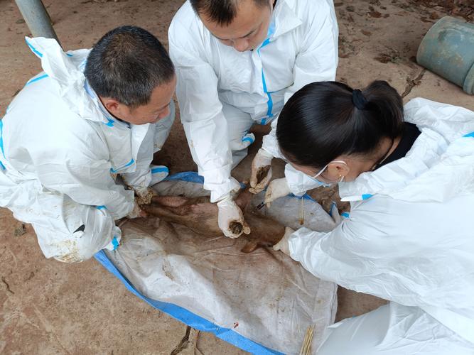 疫情检测还是疫情监测，疫情期间监测是什么意思-第3张图片-德宏生活网