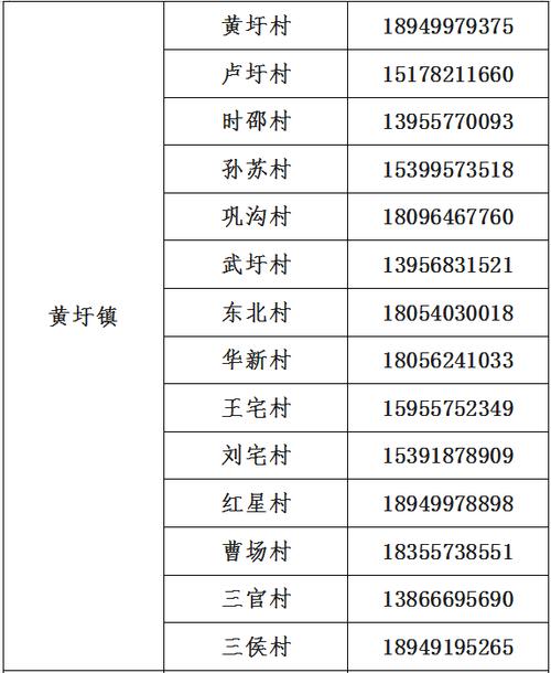 疫情后疫情反弹的地方，疫情反弹严重,国内这城-第5张图片-德宏生活网