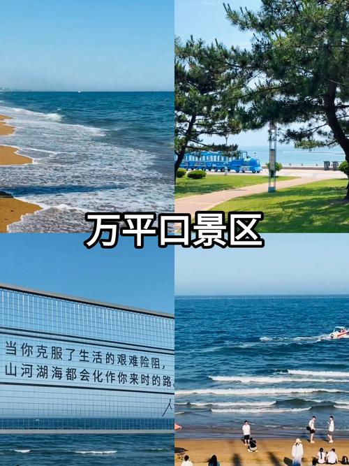 山东日照最新传染疫情，山东日照感染最新消息-第3张图片-德宏生活网