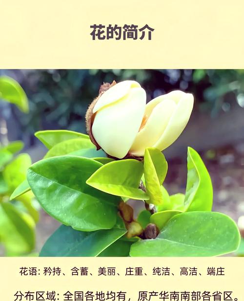 南极出现聚集性疫情-南极出现聚集性疫情的原因?-第1张图片-德宏生活网 南极出现聚集性疫情-南极出现聚集性疫情的原因?-第1张图片-德宏生活网