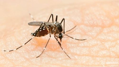 新加坡肺炎疫情严重_新加坡肺炎疫情严重吗-第6张图片-德宏生活网