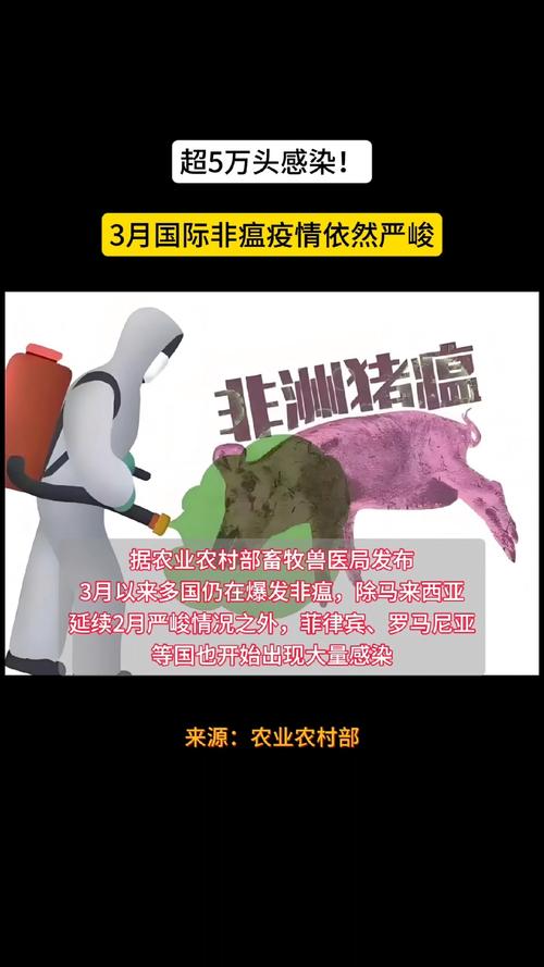 猪瘟疫情最新消息江苏_江苏猪瘟疫情2021-第4张图片-德宏生活网