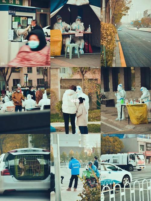 疫情前和疫情后的自己,疫情前的你疫情后的你-第1张图片-德宏生活网 疫情前和疫情后的自己,疫情前的你疫情后的你-第1张图片-德宏生活网