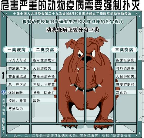 疫情时期和非疫情时期-疫情非常时期是什么意思？-第5张图片-德宏生活网