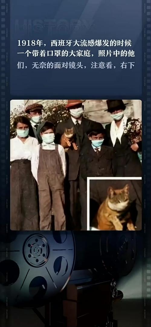 法国疫情西班牙疫情，法国疫情真实情况-第5张图片-德宏生活网