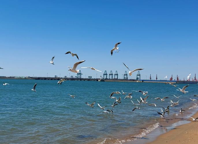 秦皇岛首例肺炎疫情_秦皇岛首例肺炎疫情是哪里的-第4张图片-德宏生活网 秦皇岛首例肺炎疫情_秦皇岛首例肺炎疫情是哪里的-第4张图片-德宏生活网