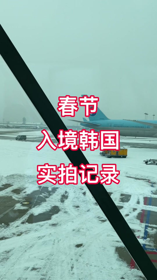 2021年韩国疫情_韩国2020年疫情数据-第4张图片-德宏生活网 2021年韩国疫情_韩国2020年疫情数据-第4张图片-德宏生活网