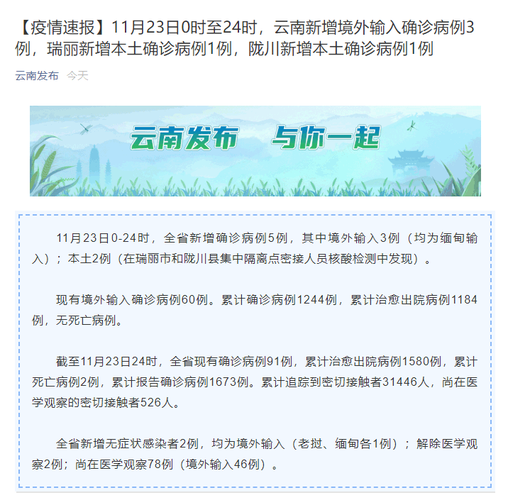 云南肺炎疫情31号疫情-云南肺炎疫情31号疫情报告？-第4张图片-德宏生活网