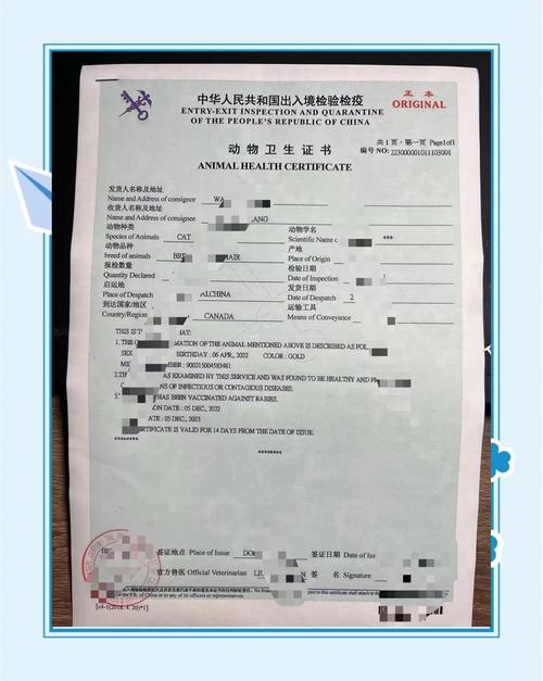 非洲津巴布韦国家疫情_非洲津巴布韦国家疫情情况-第3张图片-德宏生活网