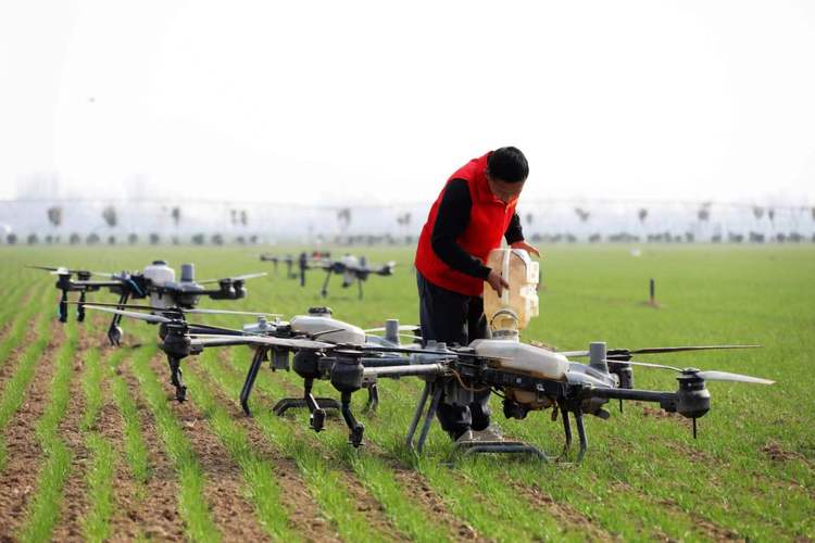 疫情组织春耕物资_疫情防控不误春耕,截至5月5日-第5张图片-德宏生活网